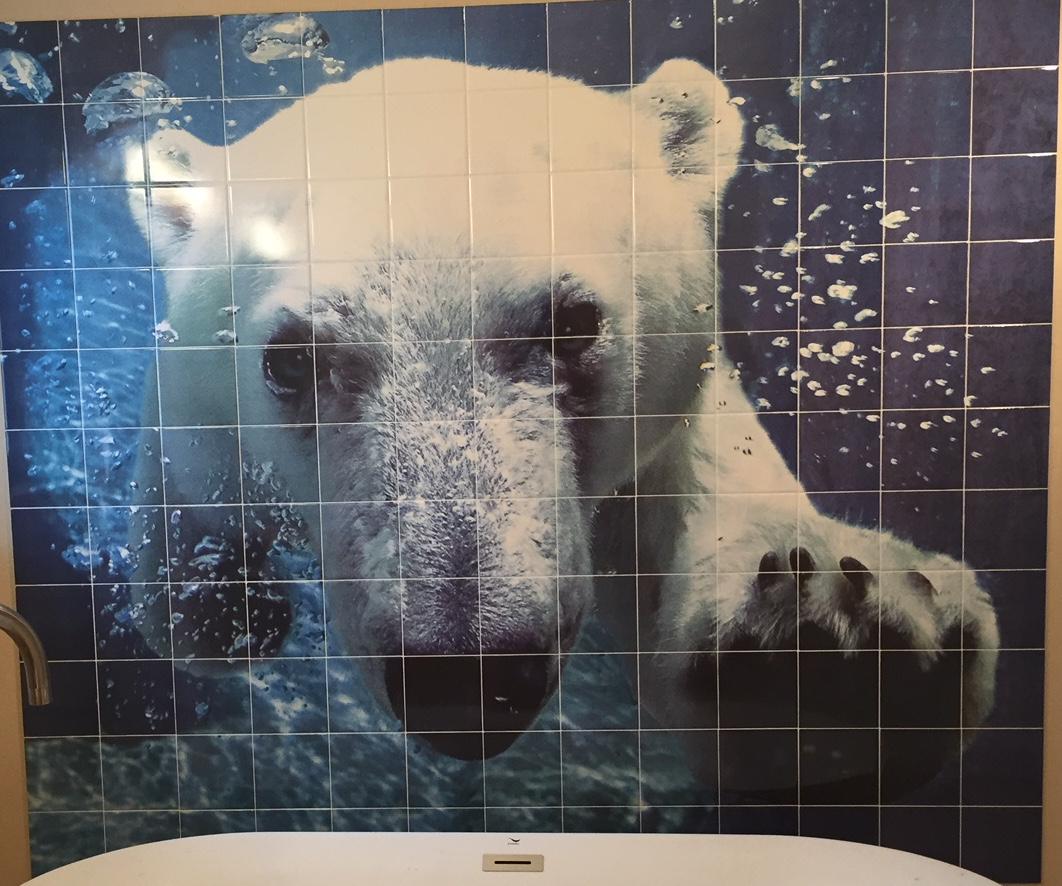 Polar bear tile mural, shot straight on